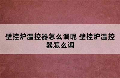 壁挂炉温控器怎么调呢 壁挂炉温控器怎么调